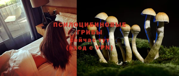 дмт Абдулино