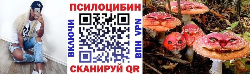 купить наркоту  Егорьевск  Псилоцибиновые грибы мухоморы 