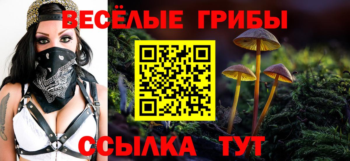Егорьевск  как найти   Вход с VPN  Псилоцибиновые грибы прущие грибы 